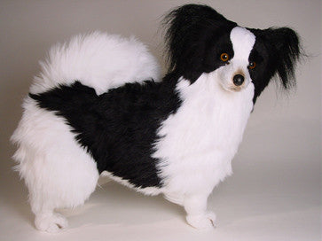 "Henry" Papillon