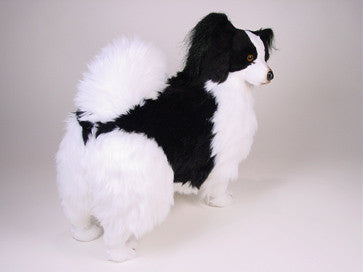 "Henry" Papillon