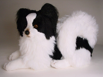 "Marie" Papillon