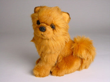 Cinnabear Chow Chow