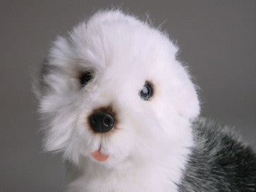 "Schag" Old English Sheepdog