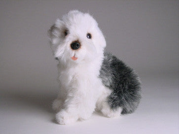 "Schag" Old English Sheepdog