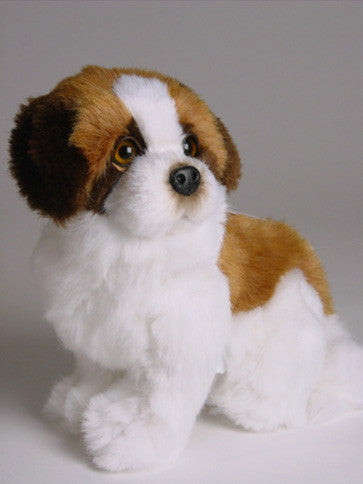 "Beethoven" Saint Bernard
