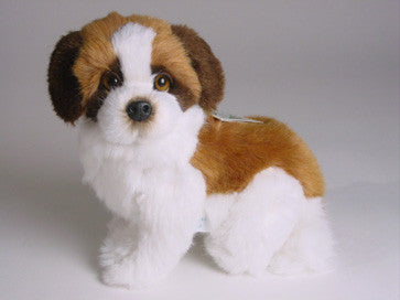 "Beethoven" Saint Bernard