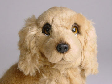 "Carmella" Cocker Spaniel