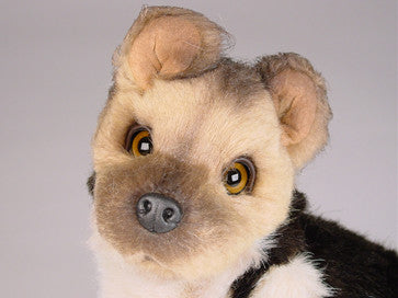 "Prinz" German Shepherd