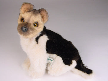 "Prinz" German Shepherd