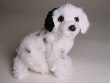 "Louie" Dalmatian