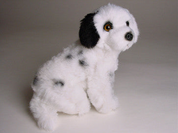 "Louie" Dalmatian