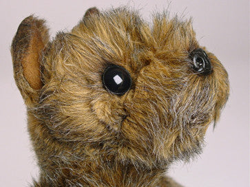 "Celia" Schnauzer