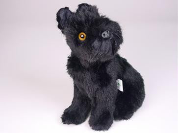 "Smitty" Schnauzer