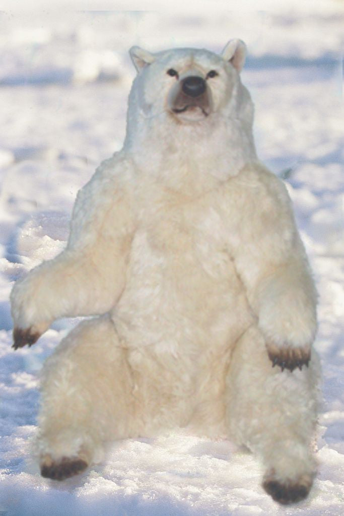 "Birmingham" Polar Bear