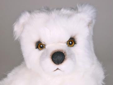 "Manitoba" Polar Bear