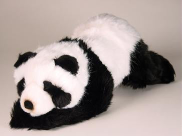 "Tian Tian" Panda
