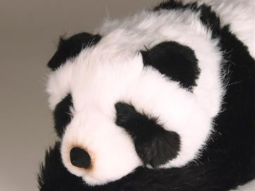 "Tian Tian" Panda