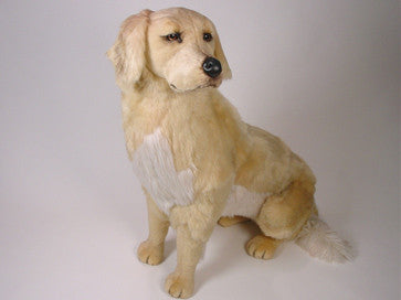"Shadow" Golden Retriever