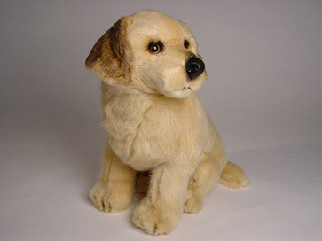 "Trixie" Golden Retriever