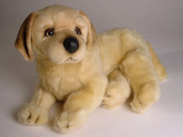 "Conan" Golden Retriever