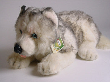 "Paws" Husky