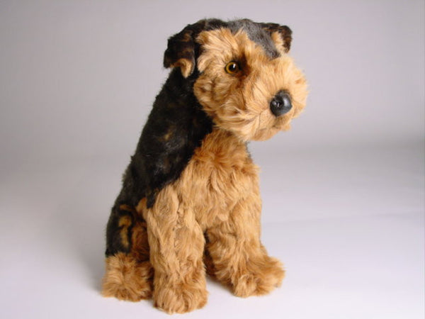 "Tarzan" Airedale Terrier Dog