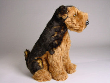 "Tarzan" Airedale Terrier Dog