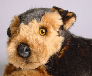 "Bruce" Airedale Terrier