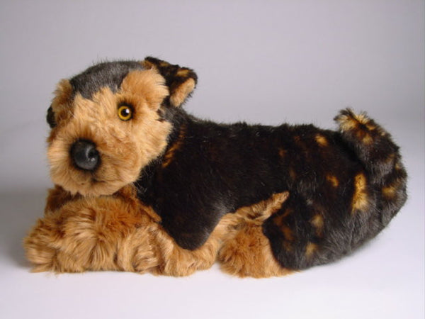 "Bruce" Airedale Terrier