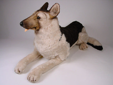 "Mate" German Shepherd