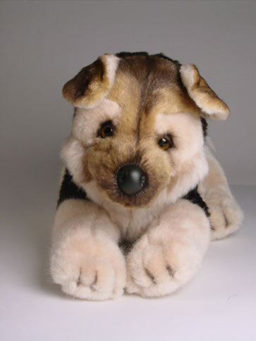 "Kasey" German Shepherd