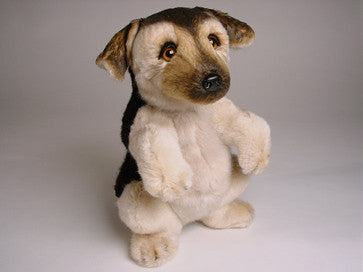 "Lance" German Shepherd