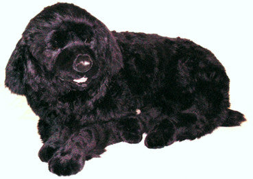 "Nana" Newfoundland