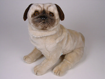 "Otis" Pug