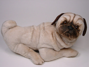 "Hugh" Pug