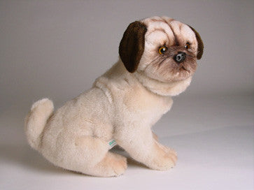 "Jessica" Pug