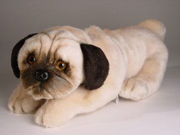 "Pompey" Pug