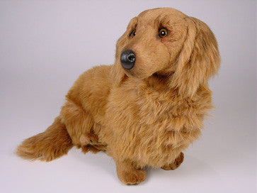 "Helena" Dachshund