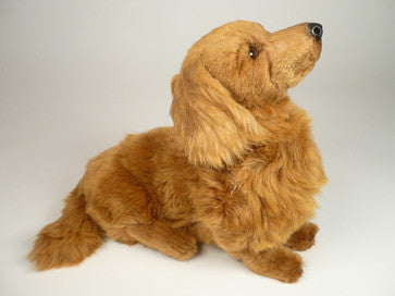 "Digger" Dachshund