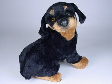 "Basko" Rottweiler