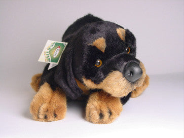 "Polo" Rottweiler