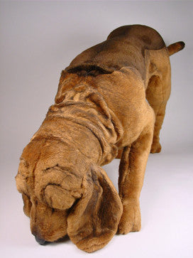 "McGruff" Bloodhound