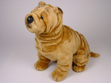 "Nikko" Chinese Shar-Pei