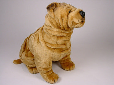 "Nikko" Chinese Shar-Pei