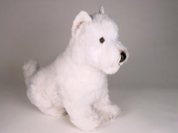 "Piper" West Highland Terrier