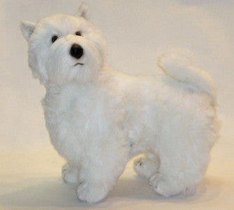 "J.C." West Highland Terrier