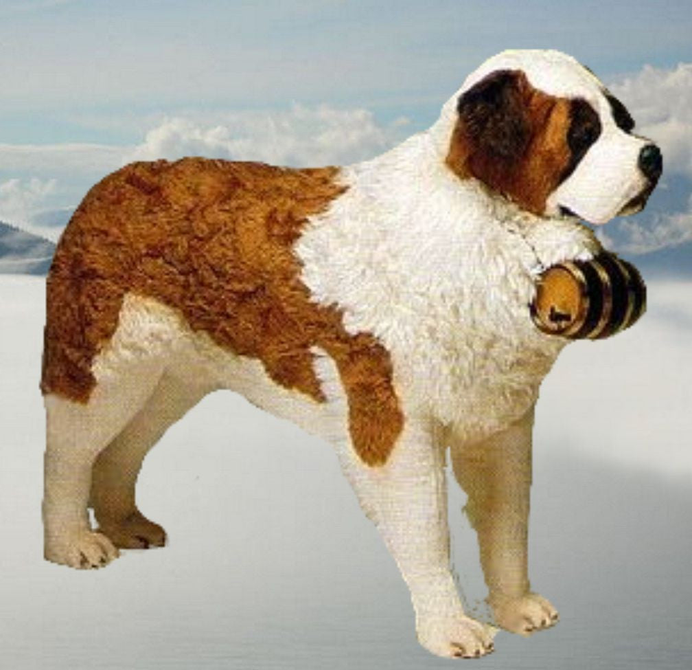 "Wallace" Saint Bernard