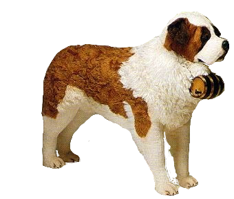 "Wallace" Saint Bernard