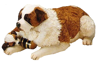 "Nanna" Saint Bernard