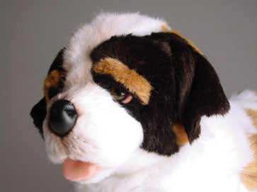 "Bernie" Saint Bernard