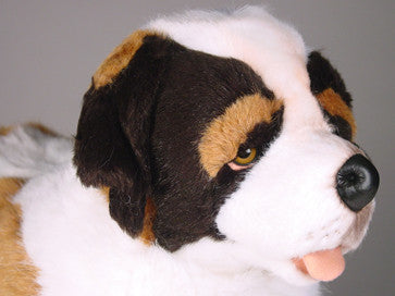"Bernie" Saint Bernard