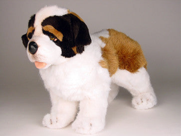 "Bernie" Saint Bernard